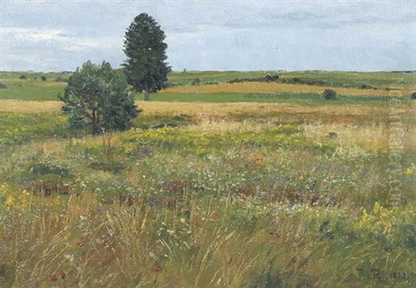 Landschaft Bei Villingen - view 1