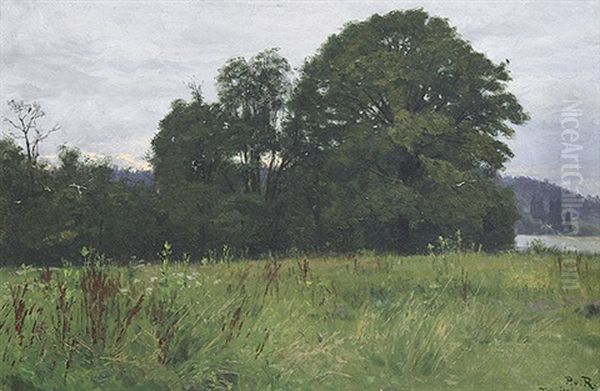 Wald- Und Wiesenlandschaft An Der Isar Bei Tolz - view 1