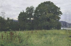 Wald- Und Wiesenlandschaft An Der Isar Bei Tolz by Paul von Ravenstein