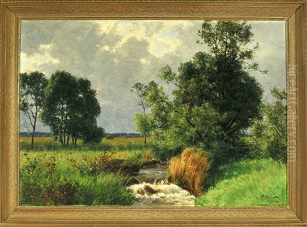 Wiesenlandschaft Mit Baumen Und Kleinem Bachlauf - view 1