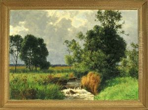 Wiesenlandschaft Mit Baumen Und Kleinem Bachlauf Wiesenlandschaft Mit Baumen Und Kleinem Bachlauf