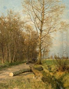 Waldweg Waldweg