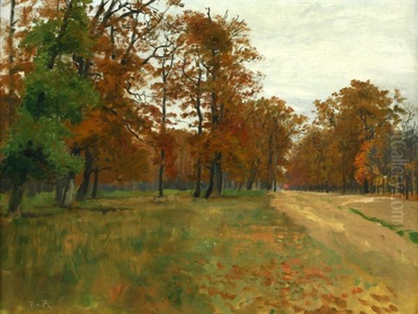 Herbstliche Waldlandschaft Auf Einer Lichtung - view 1