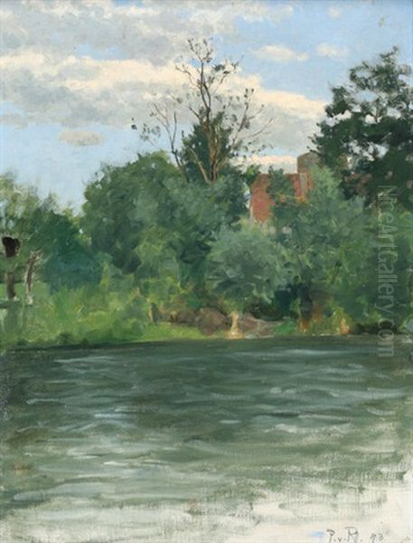 Sommerlandschaft Mit Blick Auf Hauser Uber Die Enz Bei Besigheim - view 1