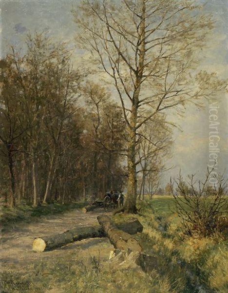 Waldrand Mit Weg Und Gefalltem Baum - view 1