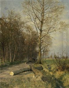 Waldrand Mit Weg Und Gefalltem Baum