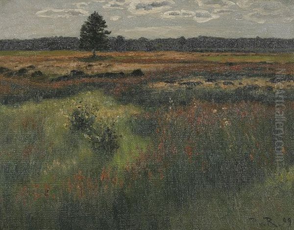 Moorlandschaft Bei Villingen - view 1