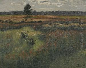 Moorlandschaft Bei Villingen Moorlandschaft Bei Villingen
