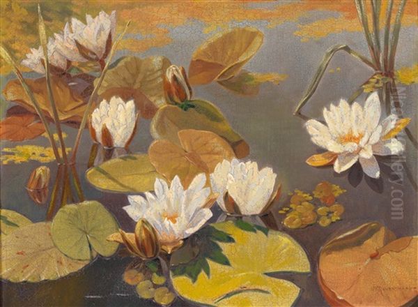 Water Lilies - view 1