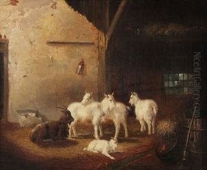 Bouc Et Chevres A L'etable by Jan Van Ravenswaay