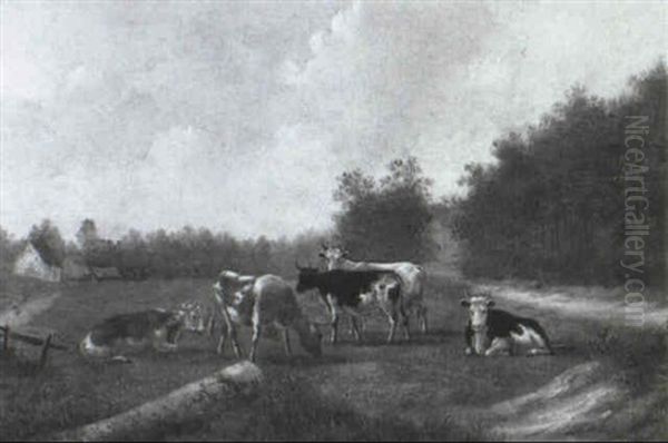Kuhherde Auf Der Weide - view 1