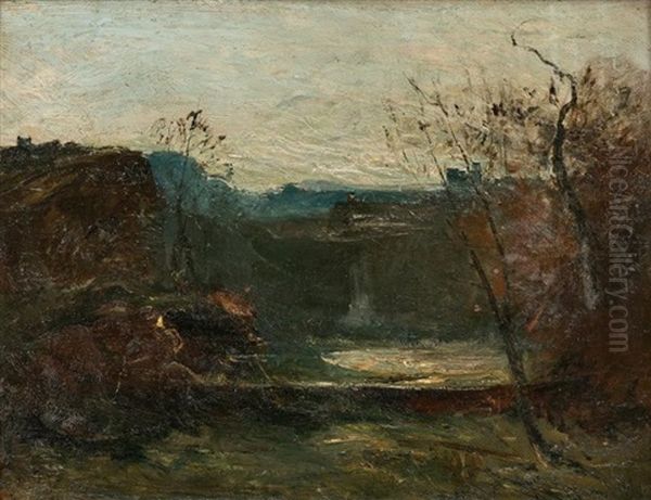 Reflet De Lune Dans La Mare - view 1