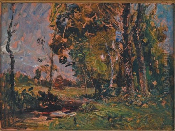 Bosquet D'arbres Pres D'une Mare - view 1