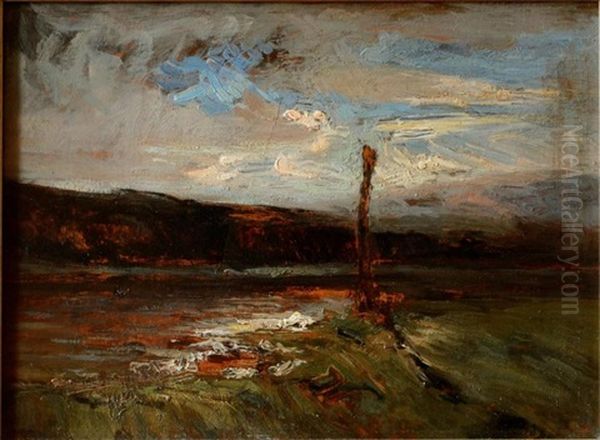 Effet De Lumiere, Arbre En Bord De Mare - view 1