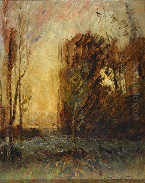 La Lumiere Doree Entre Les Arbres - view 1