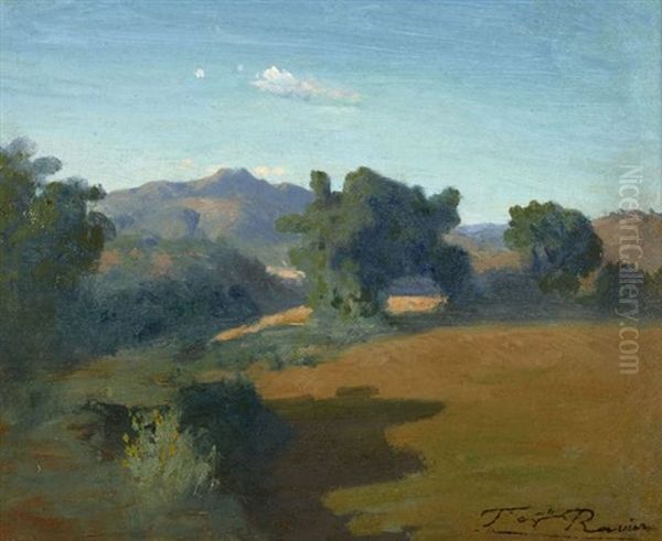 Clairiere Dans Un Paysage De Montagne - view 1