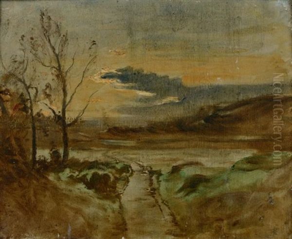 Crepuscule, Etang De L'aleva, Morestel - view 1