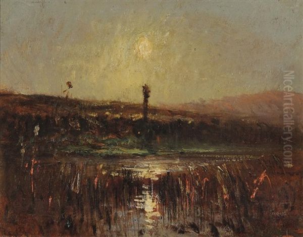 Coucher De Soleil Et Reflet Entre Les Joncs (morestel) - view 1