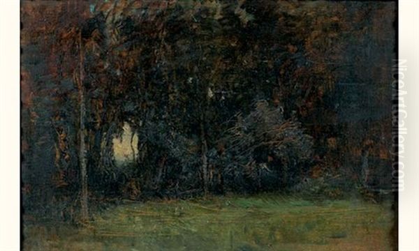 Sous Bois - view 1