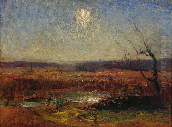 Paysage D'automne Au Soleil Brumeux - view 1