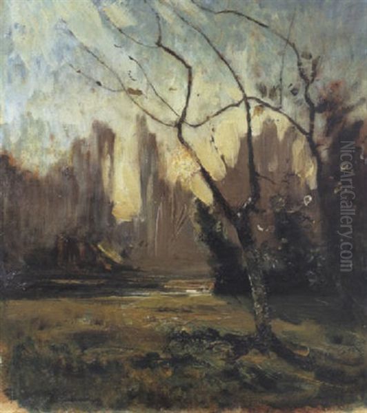 Paysage - view 1