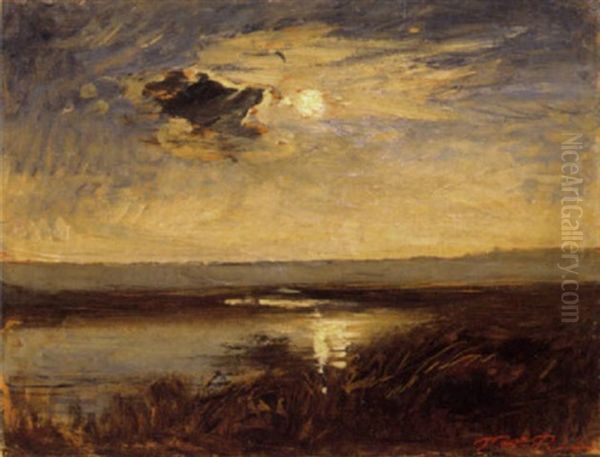 Coucher De Soleil Sur L'etang De La Leva - view 1