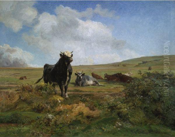 Leader Of The Herd - view 1
