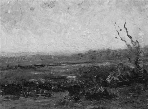 Paysage, Le Soir - view 1
