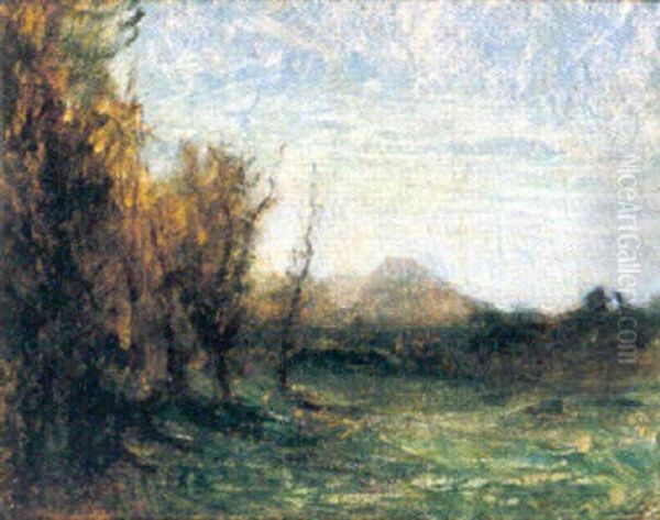 Paysage Au Bouquet D'arbres - view 1