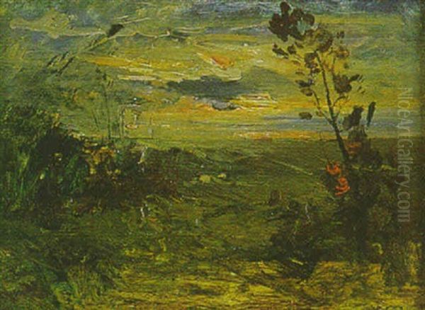 Coucher De Soleil - view 1