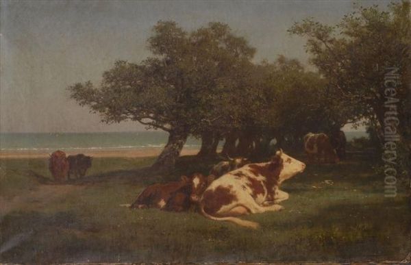 Cattle Grazing Near The Coast - view 1
