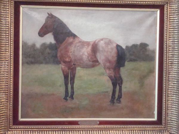 Cheval Au Pre - view 1