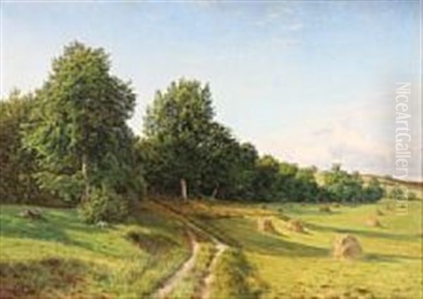 Danish Summer Landscape - view 1