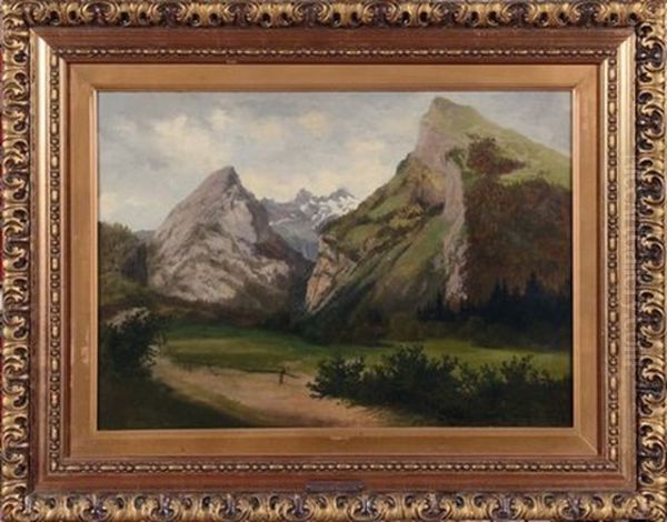 Giogaie Alpine - view 1