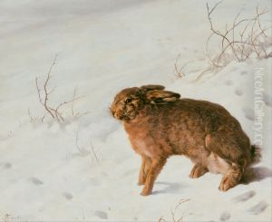 Hase Im Schnee