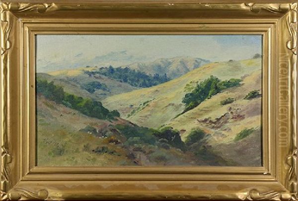 Marin Hills - view 1