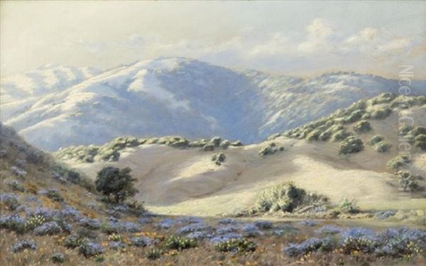 Near Gallinas - view 1