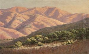 Sun's Last Rays, Marin County, Calif. by Louis Edward Rea