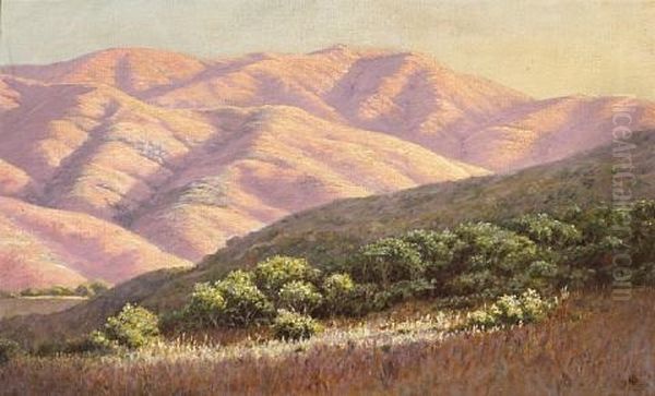 Sun's Last Rays, Marin County, California - view 1