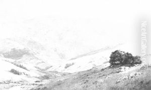 South Fork Of Nicasio Canyon by Louis Edward Rea