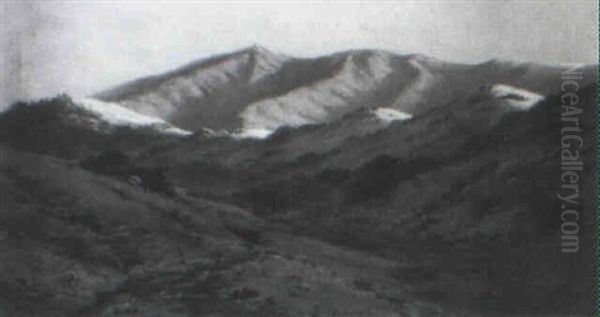 Mount Tamalpais - view 1