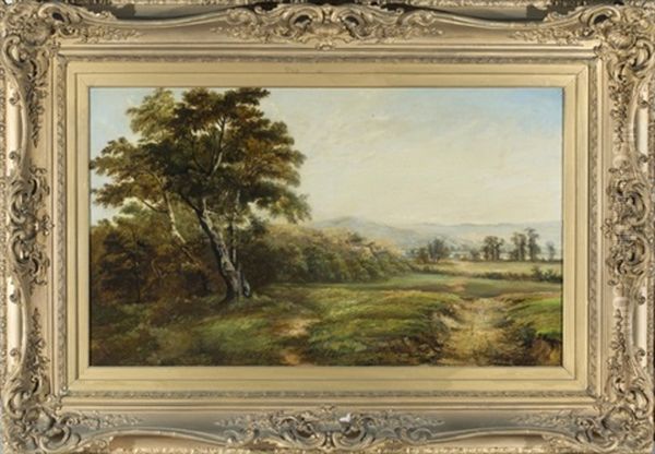 Landscape With Mountains In The Distance - view 1