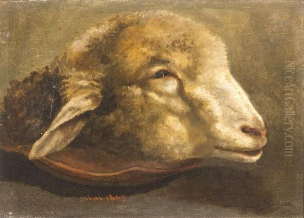Lamb Head - view 1