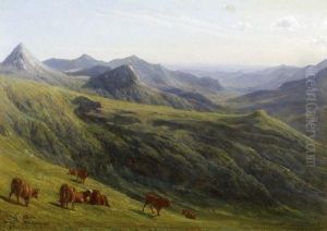 Paysage D'auvergne