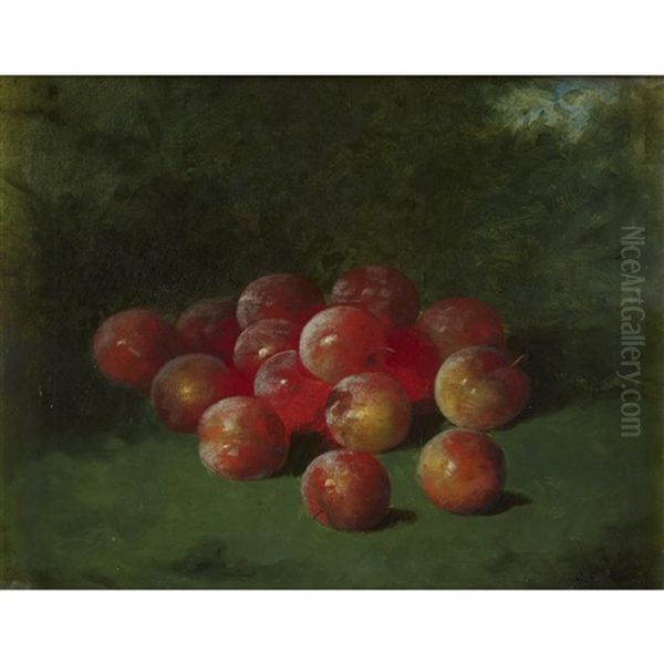 Still Life With Apples - view 1