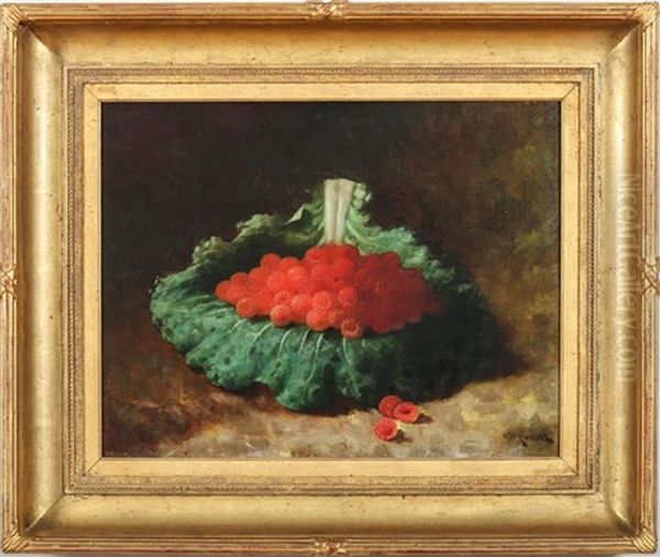 Raspberries On A Green Cabbage Leaf - view 1