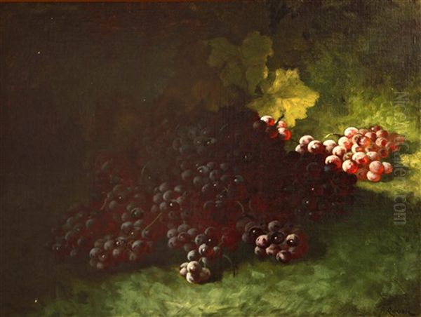 Red Grapes - view 1