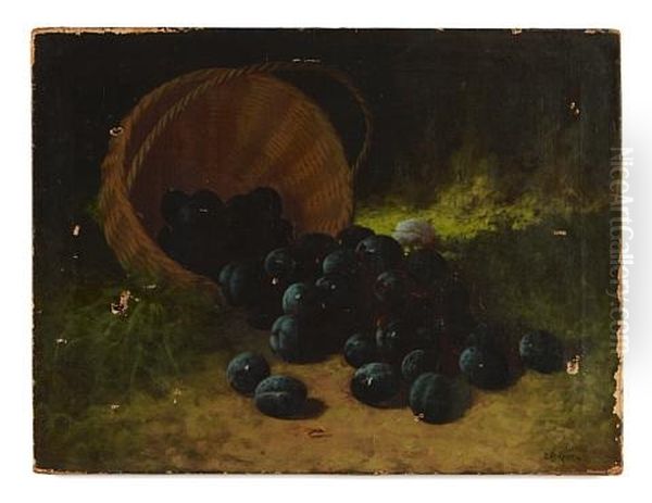 A Still Life With Plums - view 1