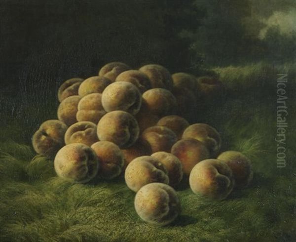 Peaches - view 1
