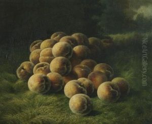 Peaches Peaches